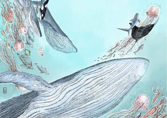 Poster A3 Aislam "baleia" - Líbero (Pré venda)