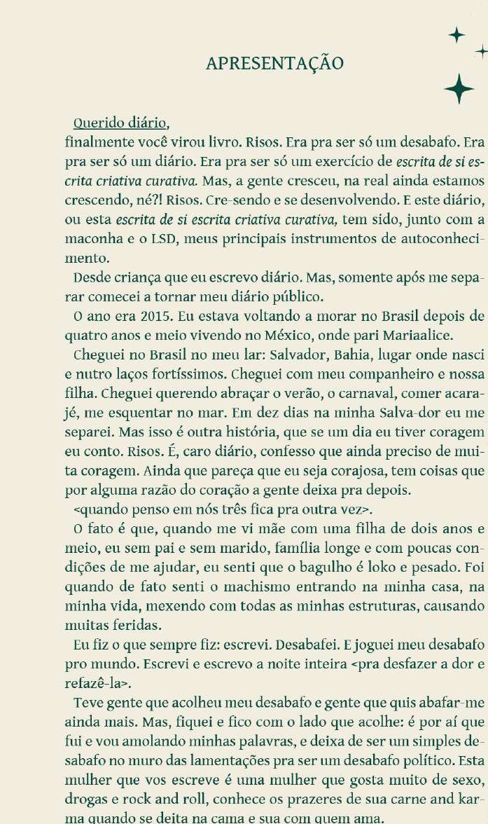 Diário de uma Mãeconheira - Maíra Castanheiro - Brasa - Z•Stores