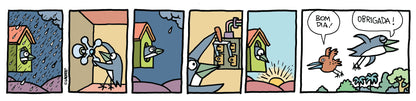 TODA LOLA, A ANDORINHA - Capa Dura